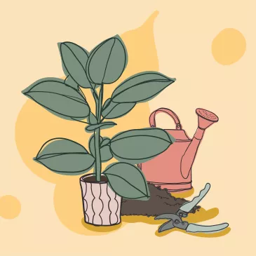 Foire aux plantes Foire aux plantes